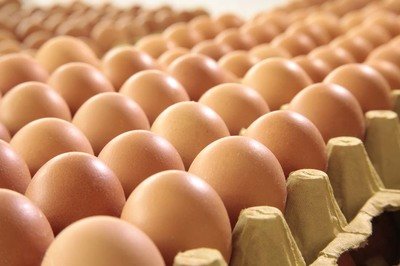 驻马店鸡蛋检测价格,鸡蛋检测机构,鸡蛋检测项目,鸡蛋常规检测